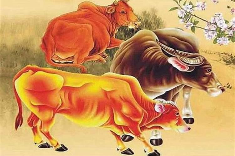 1969年鸡在2025年蛇年的运程