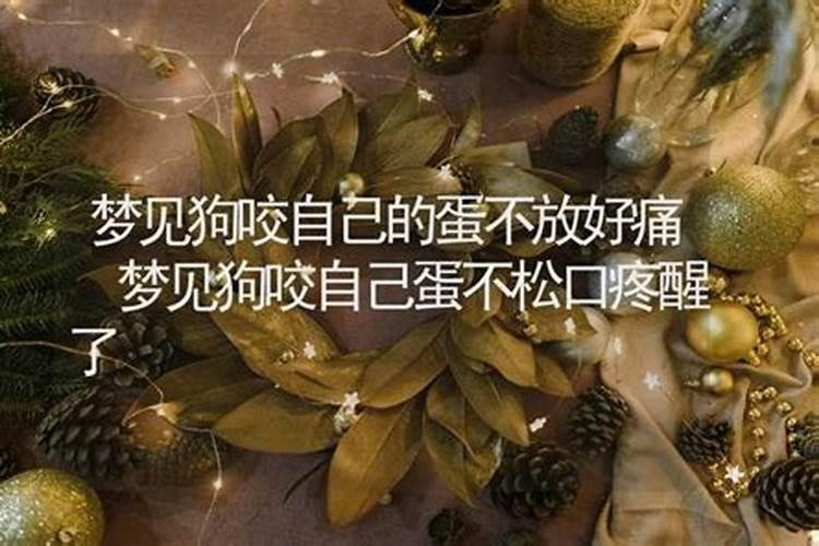 2025年犯太岁的生肖虎怎么化解 2025年犯太岁的生肖虎怎么躲星