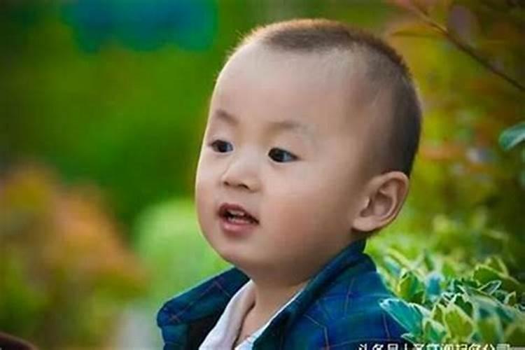 88年属龙木命是什么意思,88年11月属龙的是什么命