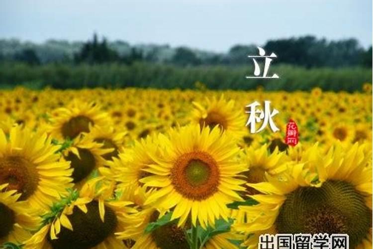 1971年阳历5月24日上午78时生五行属什么？缺什么呢？请哪位大师傅帮解 ...