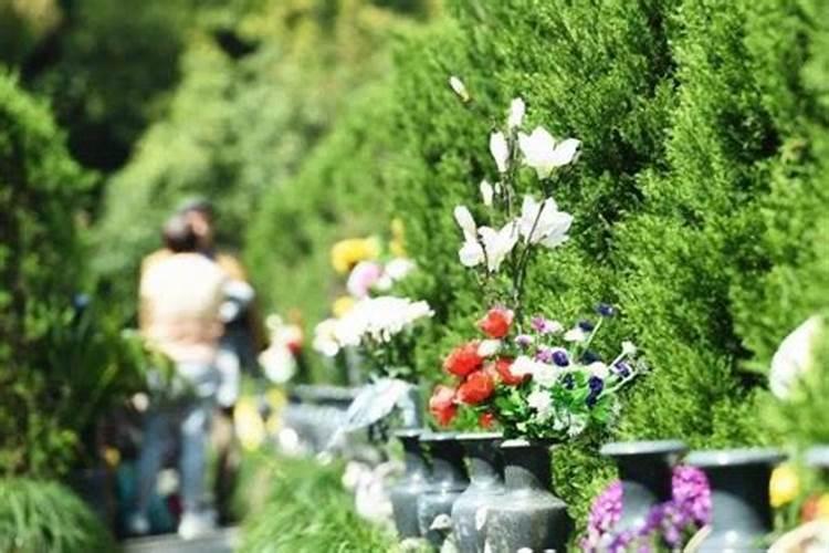 清明节祭英烈简报