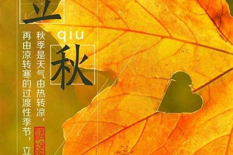 天津生态城红娘站在哪