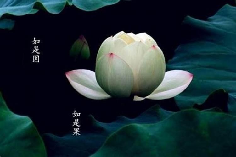 一斤纸钱等于多少万贯