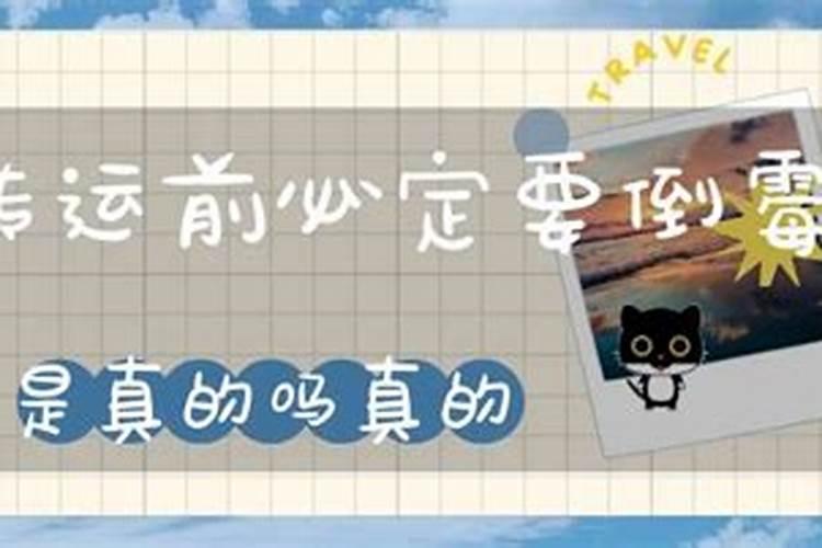2008年属鼠是什么命 2008属鼠一生命运