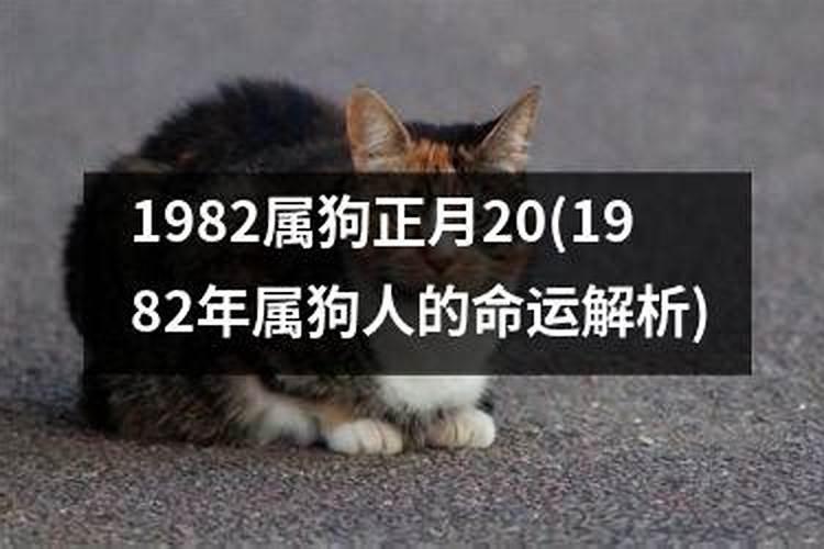 1997年农历九月初九是阳历什么时间