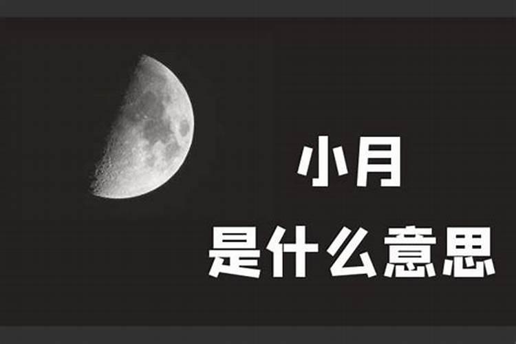 我1979年1月21号生人,属马,水瓶座。