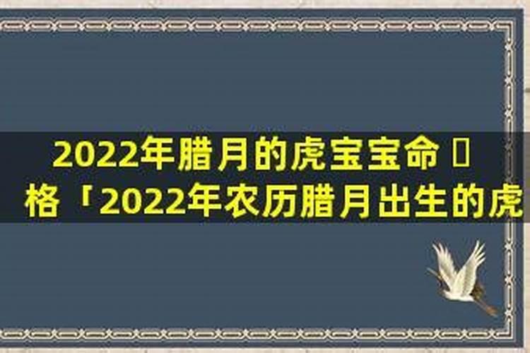 办公事放什么绿植招财办公室放什么植物招财