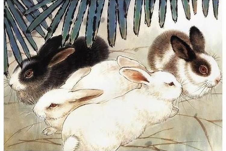 做梦梦到朋友结婚,去了发现新郎是死人躺在棺材里穿着礼服,劝朋友不要结...