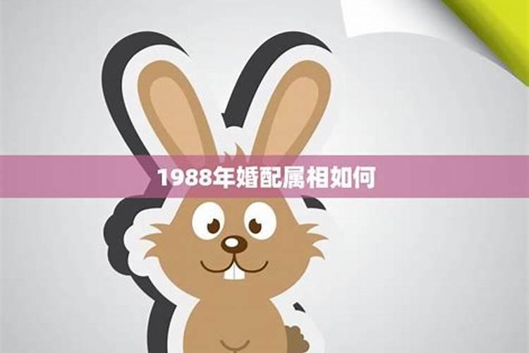 梦见坐在椅子上拉大便的预兆