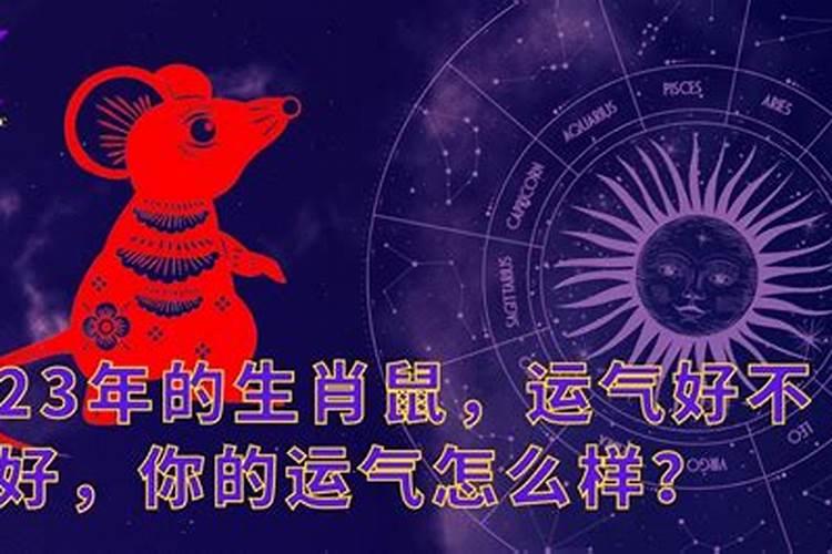 1976年3月15日子时出生女人的运势,1976年阳历3月15日生日的