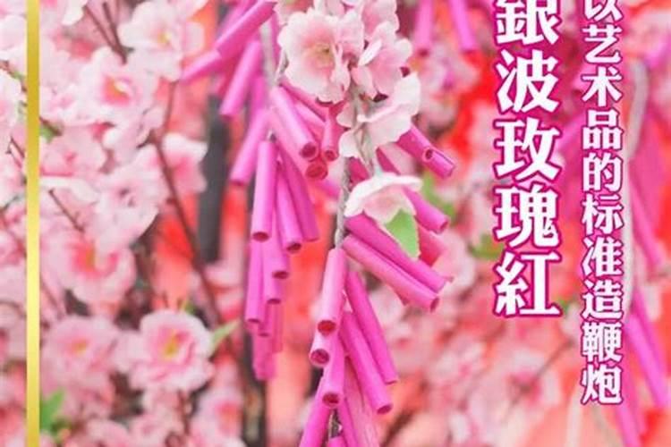青岛葡萄节来历