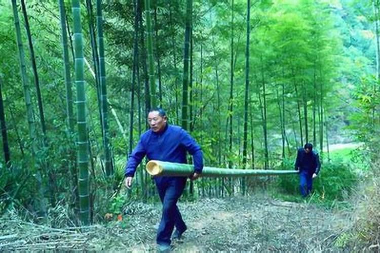 运字五行属什么的