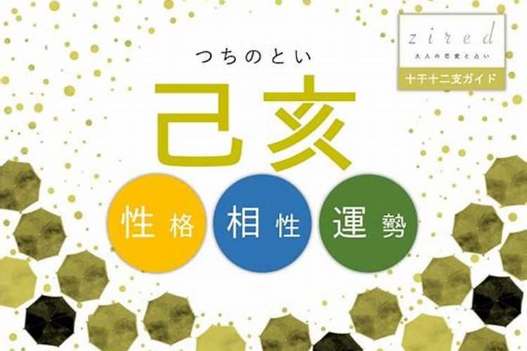 巨匠详解:属猪2023年全年运势运程及每月运程？