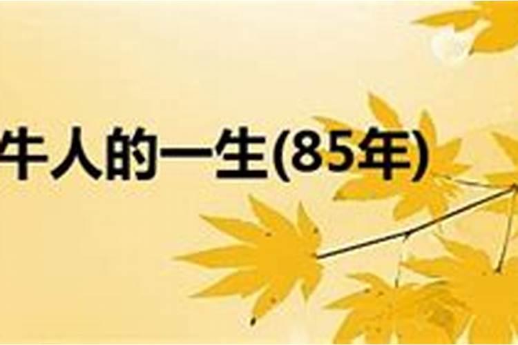 梦见女老板的预兆