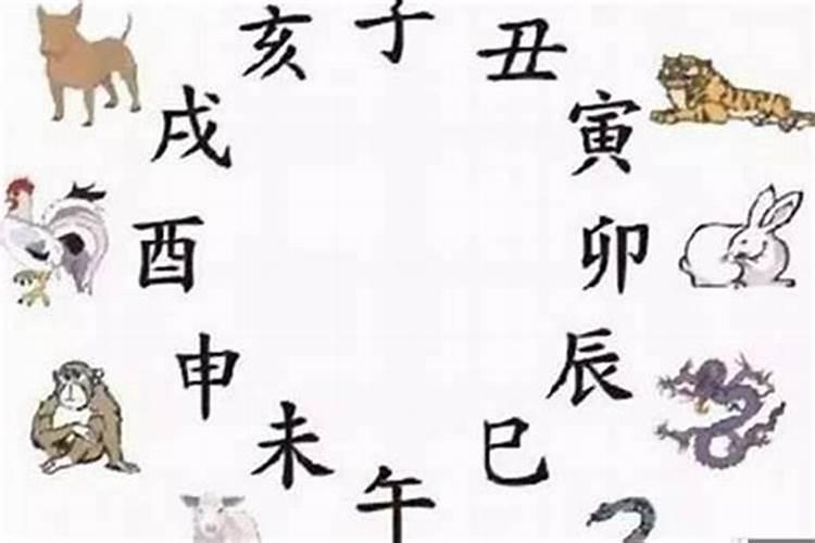 属马的遇到鼠年佩戴什么能化太岁