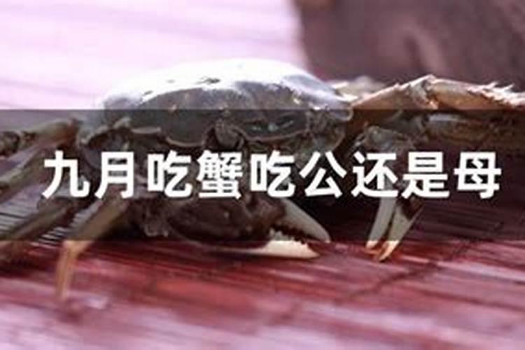 2025年属羊的犯太岁吗