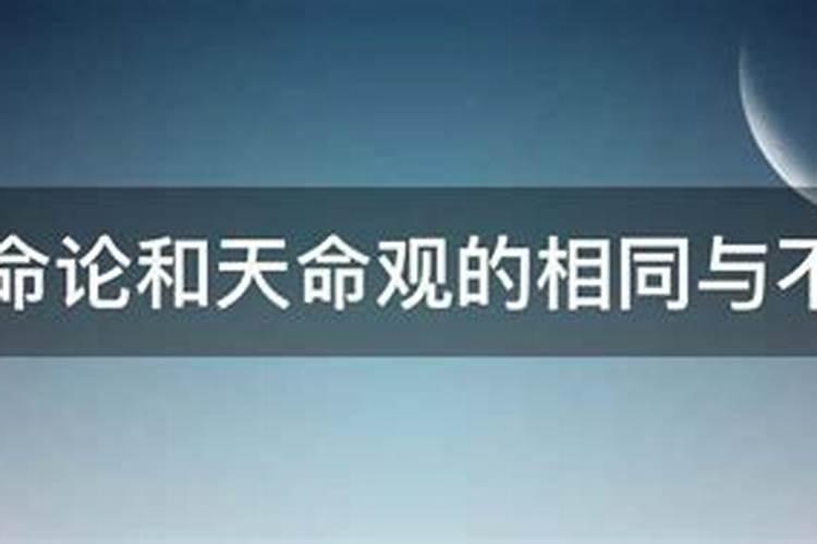 爱情中的宿命是什么意思