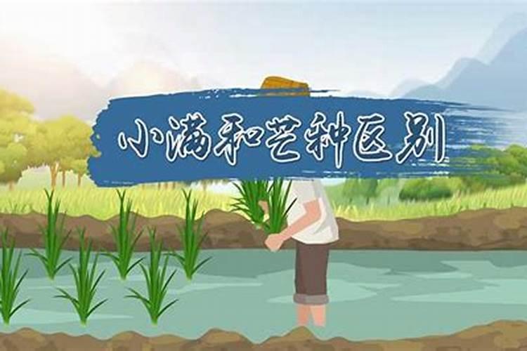 夏天的6个节气分别是什么夏季六个节气分别是指什么