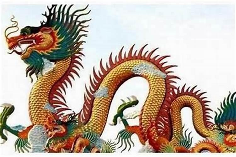 属猪男和属龙女的八字合不合