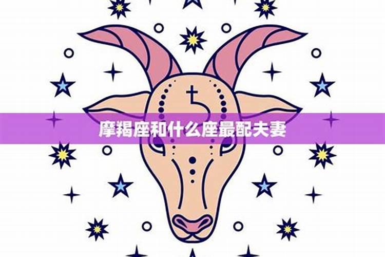 铁齿铜牙纪晓岚四中芊芊的故事在第几集开始的？