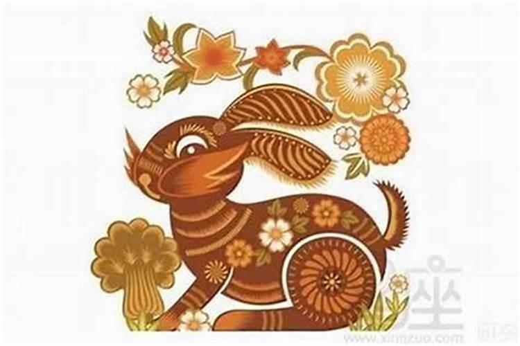 农历12月出生属龙人命好吗