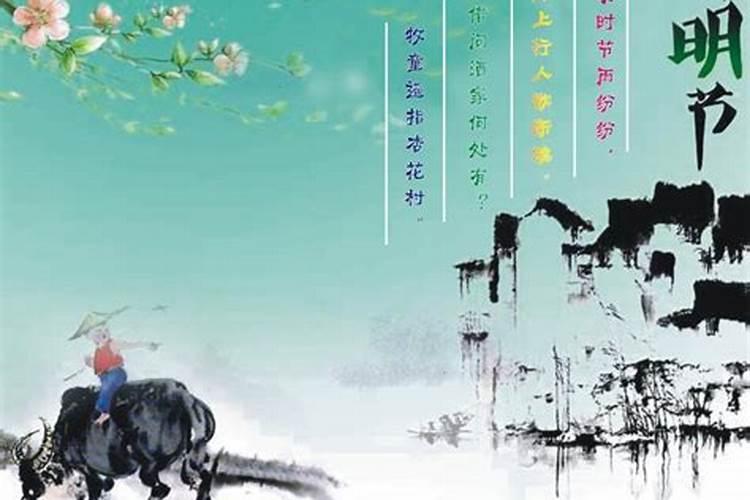 怀孕4个月了,总梦见猫.胎梦？