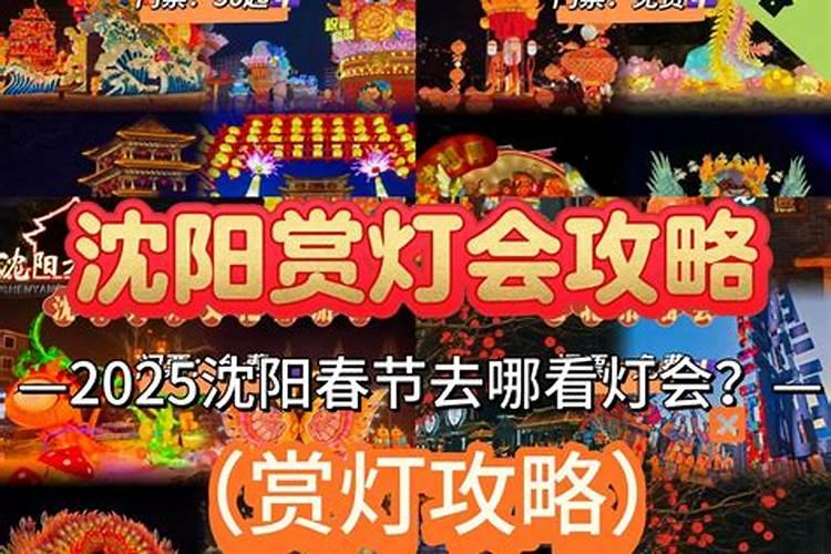 沈阳灯会2023免费有哪些 2023沈阳故宫中街灯会收费吗