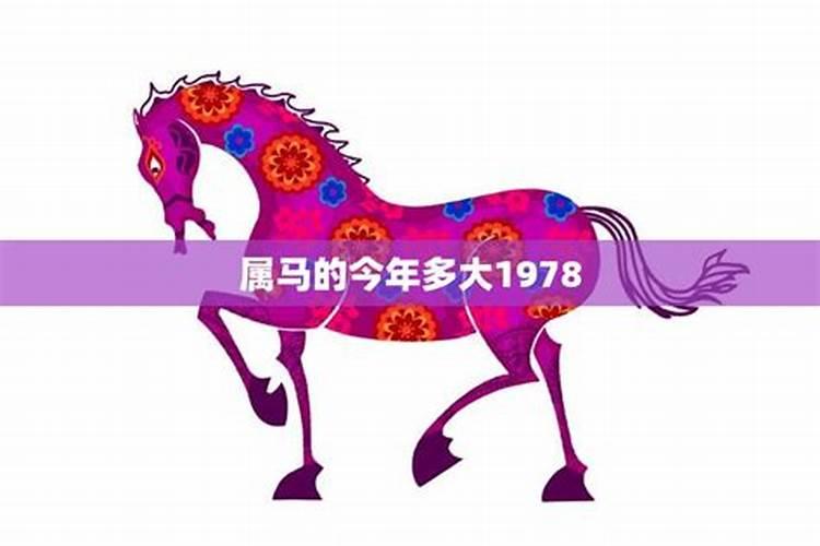 1978年属马女2024年运势详解 全年运势
