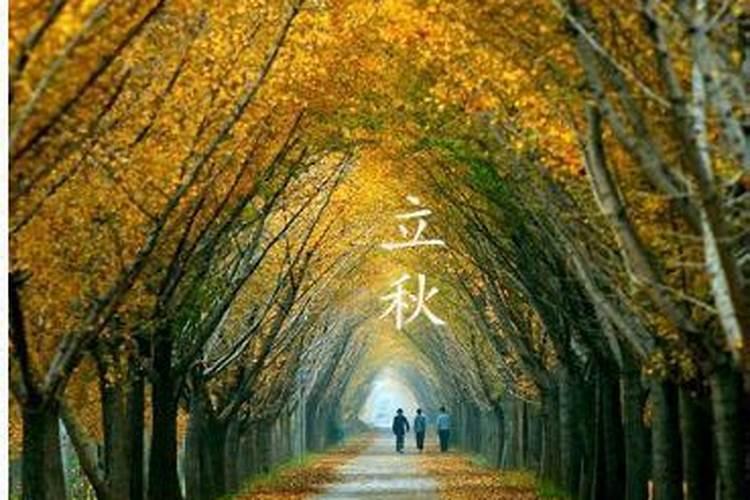 打算去东台观音禅寺为堕胎婴灵超度,大概是什么样的流程？