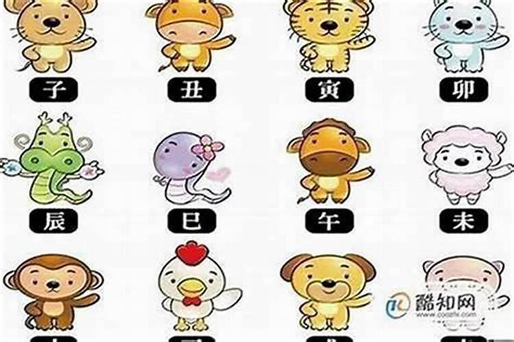 2025年4月26日12生肖的运势如何