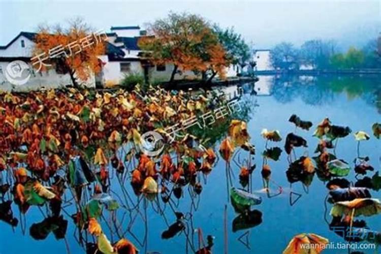 秋分是什么意思 24节气秋分是什么意思