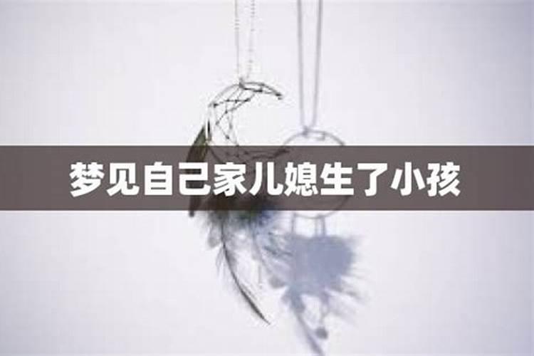 2025年什么时候分龙