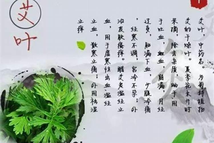 属马人2025年全年运势运程