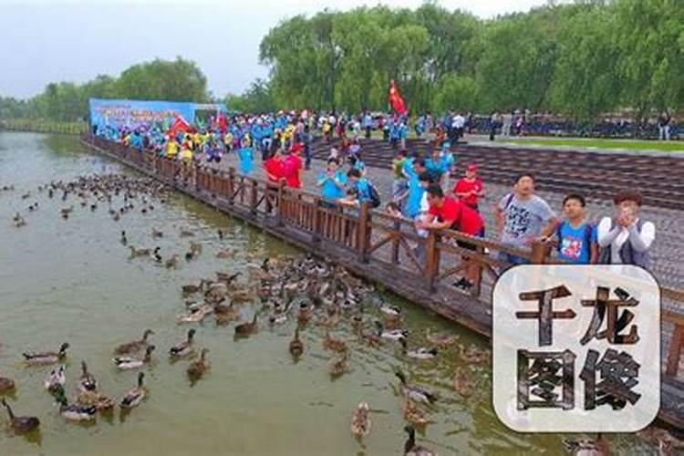 老公运气不好怎么办