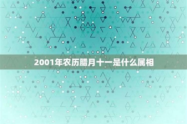 三月刮风是暗示什么
