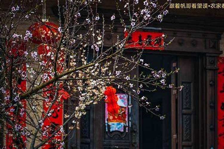 1985年5月初5子时出生的人喜神是什么？
