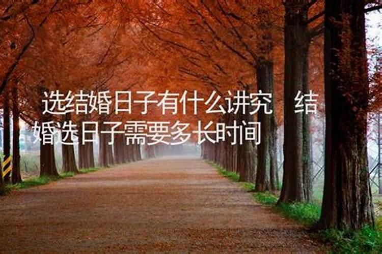 2025属鼠人躲不过去的大难