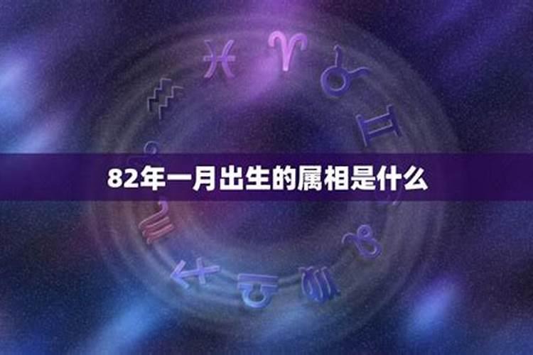 82属狗2024年每月运势