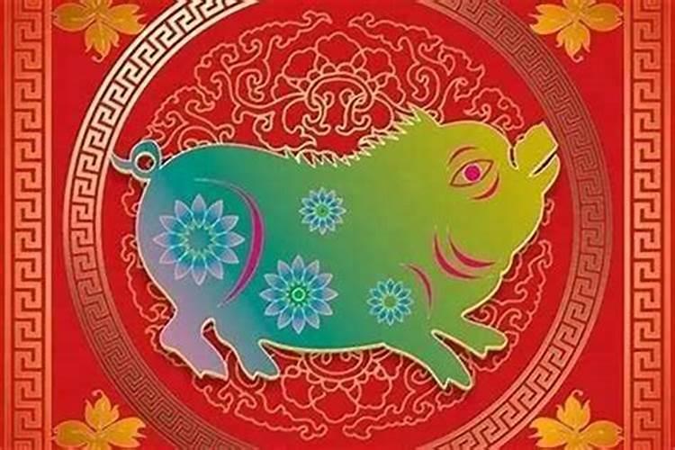 猪和鼠的婚姻到底好不好