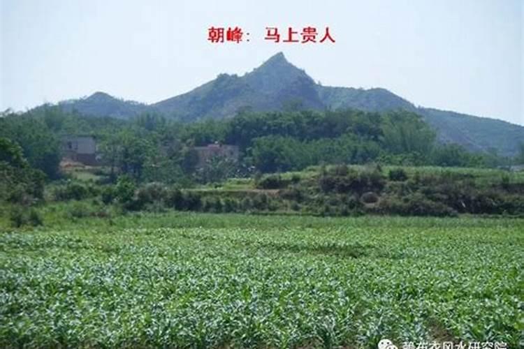 猪狗属相婚配好不好