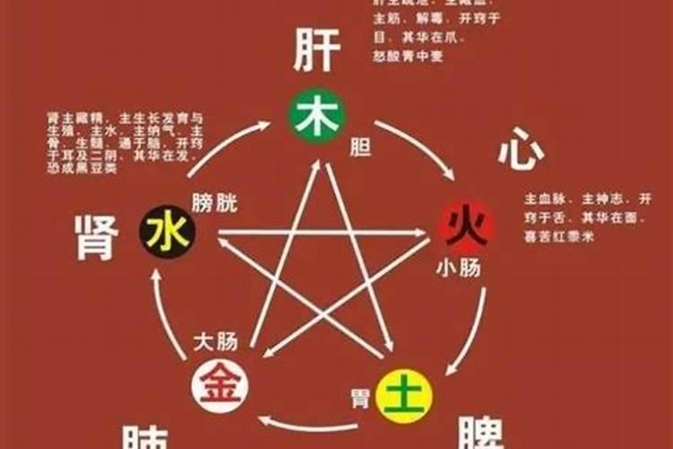 五行生克制化的应用规律