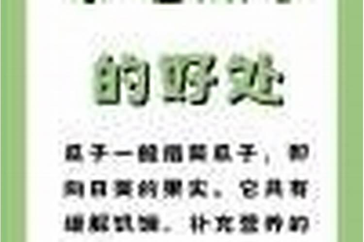 宁波老话:嗑瓜子在什么时候