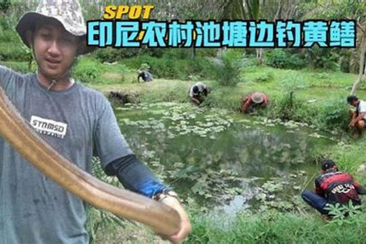 86年属婚配94年的狗,86年出生的虎与94年出生的狗婚配可以吗？