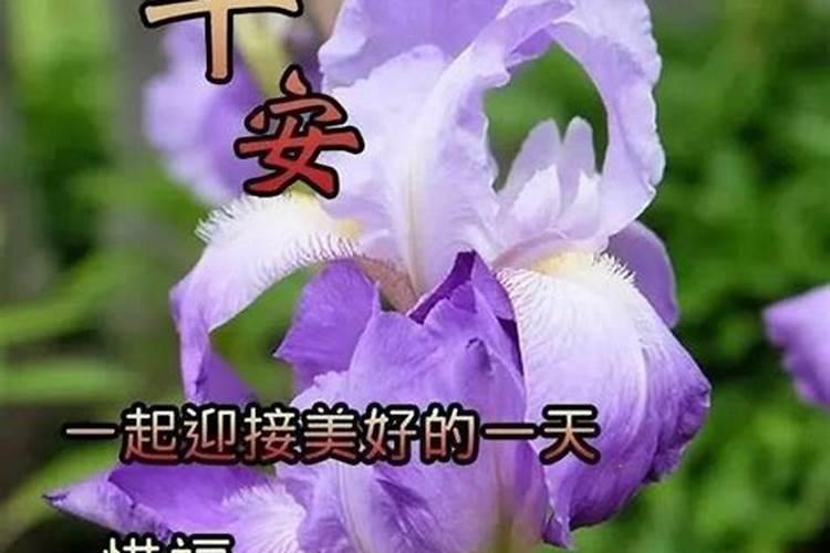 农历十月二十八是哪位神仙的生日