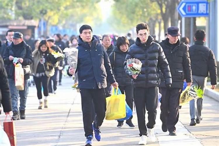 海湾寝园今年可以去扫墓吗？