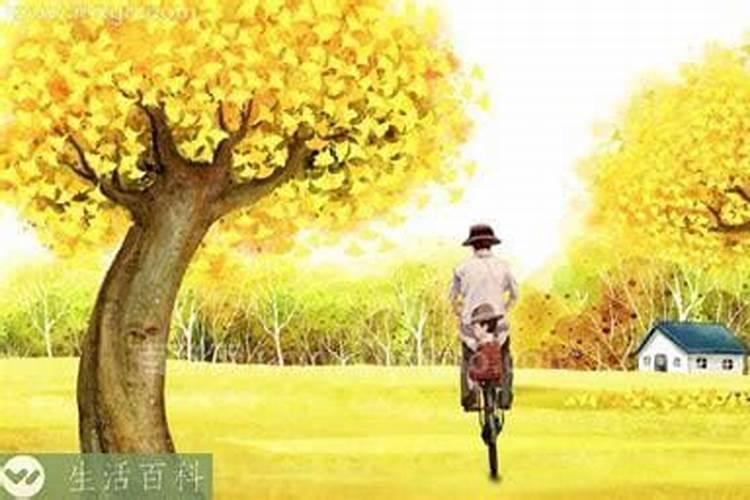 女儿梦见妈妈死而复生是什么意思
