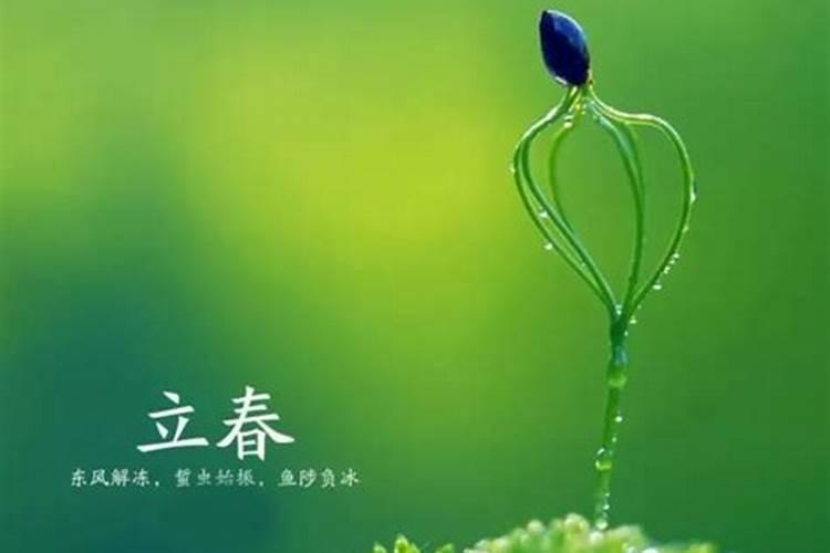 八字看配偶身材八字预测妻子相貌