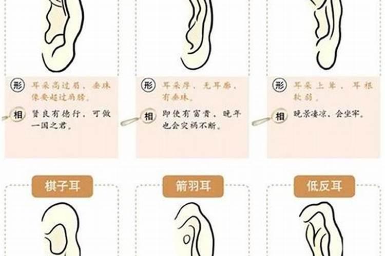 反骨耳朵面相与命运