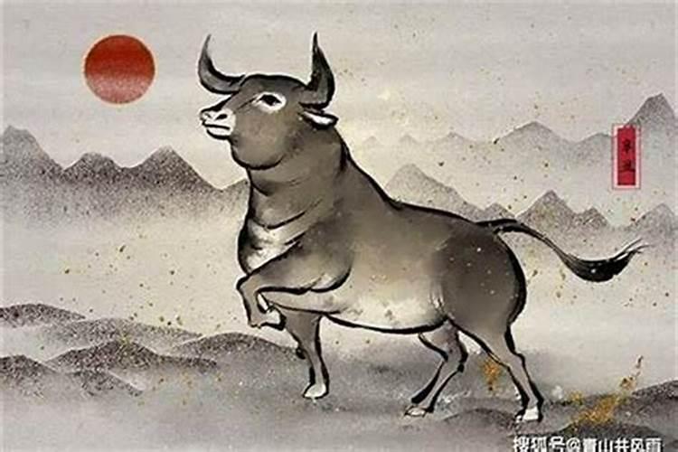 属牛的几月出生最好