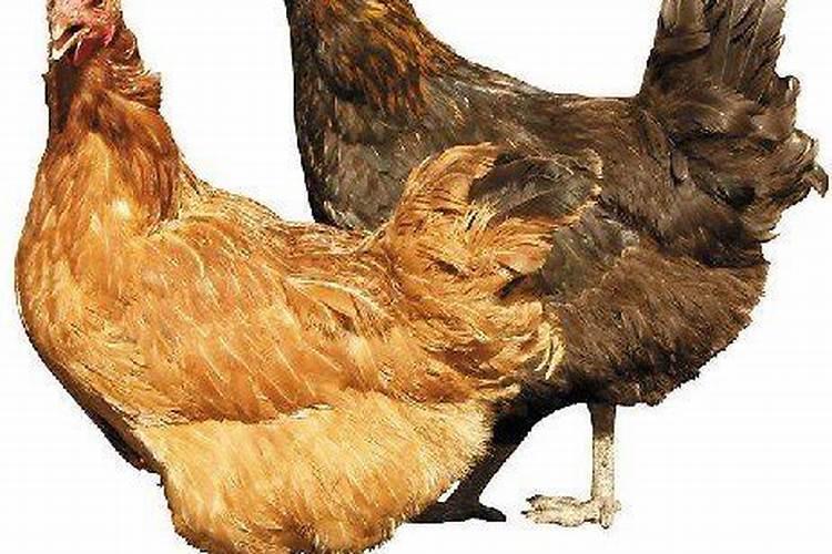打孩子大概要多少钱？